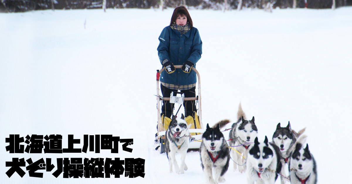 銀世界を犬たちと駆ける！北海道で犬ぞり体験してきた！