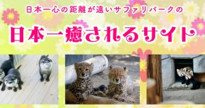 【コロナで休園中】日本一心の距離が遠い動物園のサイトが動物愛ダダ漏れな件